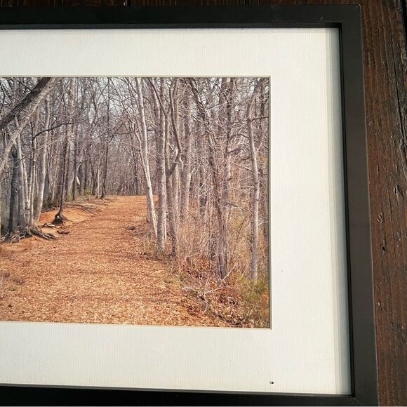 Fall Pathway Photo - Picture 3 of 4